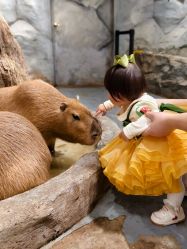 -Zoolung Zoolung动物主题公园(海信广场店)