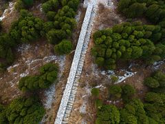 -原山国家森林公园