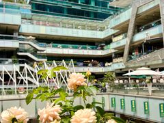 -福田卓悦INTOWN购物中心