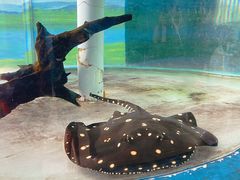 -泉州海丝野生动物世界