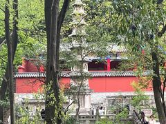 -黔灵山公园