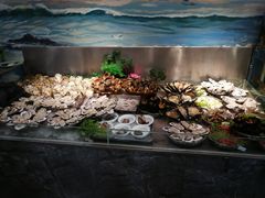 -77号渔船·蒸海鲜青岛菜(积米崖店)