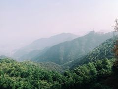 -莫干山风景区