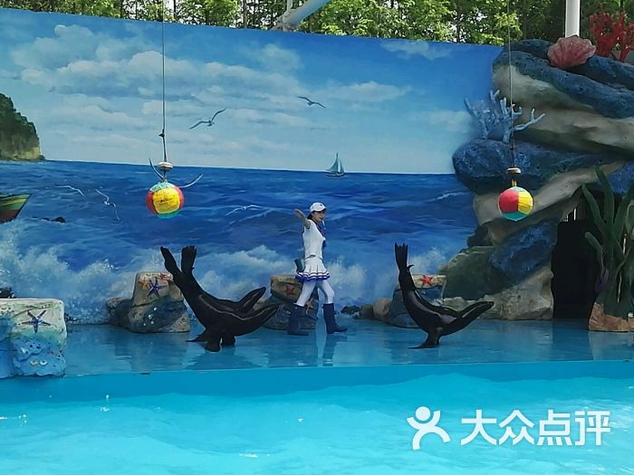 上海野生動物園圖片 - 第11477張