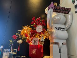 -玛莲朵·海菲秀冰珀科