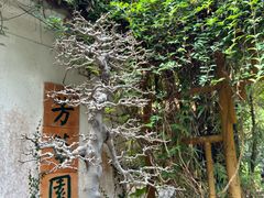 -广州兰圃