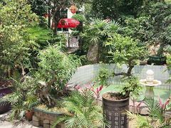 -天鹿湖森林公园