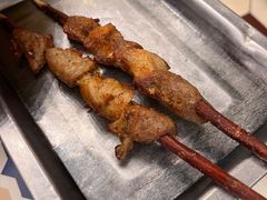 红柳枝烤肉-阿拉丁新疆风味餐厅·清真(罗廊巷店)