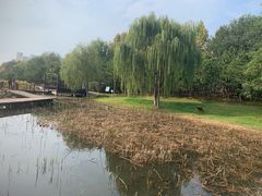 -前关湿地公园