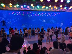 -烟台海昌鲸鲨海洋公园