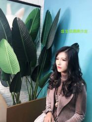 -盛宝成美业接发烫发染发脏辫