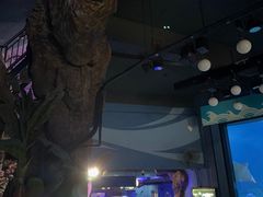-烟台海昌鲸鲨海洋公园