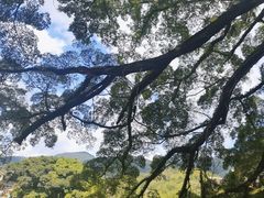 -云水谣景区