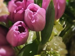 -深圳威尼斯英迪格酒店