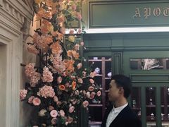 -花之城