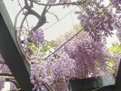 -北京市劳动人民文化宫(太庙)