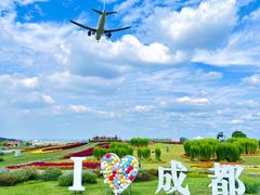 -空港花田景区