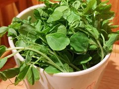 豌豆尖-四喜小胖·北京涮肉(五道营店)