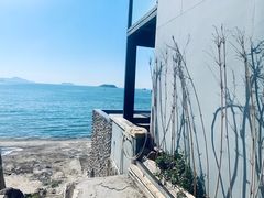-广东惠东海龟国家级自然保护区