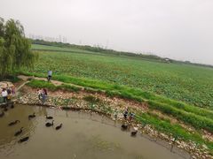 -天津东丽湖风景区