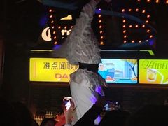 -HIB HUB公社(解放西路店)