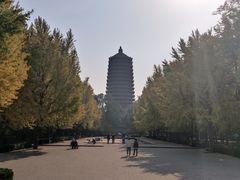 -玲珑塔公园