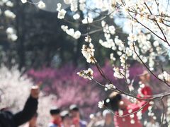 -杭州植物园