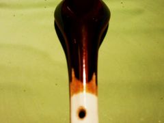 android_upload_pic-那家小馆•北京菜•烤鸭(中关村店)