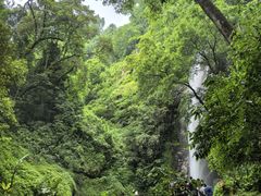 -莫里热带雨林景区