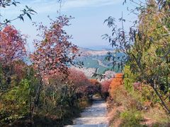 -锦屏山旅游度假区