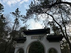 -灵隐飞来峰景区
