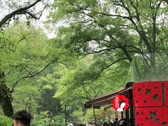 -茶颜悦色(岳麓山顶店)