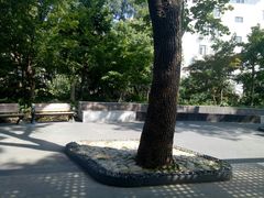 -兰溪青年公园