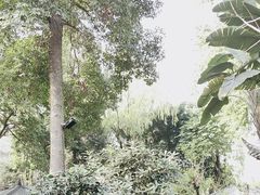 -大妙火锅·非物质文化遗产(东湖公园店)