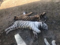 -无锡动物园·太湖欢乐园