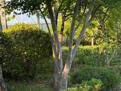 -肥三土菜馆(五四广场店)