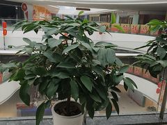 -偶屋里钵少爷(时代广场店)