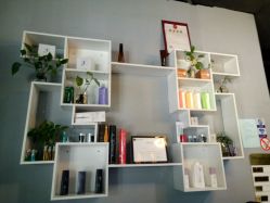 -discovery 发现 hair salon