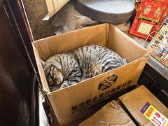 -正阳书局(西四南大街店)