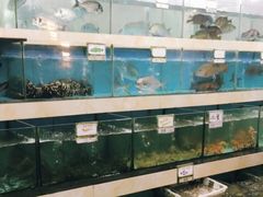 水产区-秋姐美食店(旅游大道店)