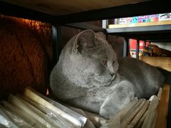 -莫比餐厅(五道口店)