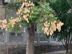 -洛阳周公庙博物馆