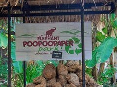 -大象粑粑造纸公园