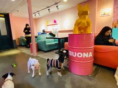 -百好乐宠物友好餐厅(朝外大街店)