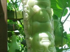 -贵阳蓬莱仙界