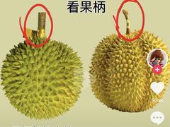 -堤口果品批发市场