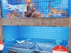 -连鹭海鲜·海肠捞饭·海胆饭(星海店)