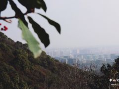 -杭州半山国家森林公园