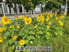 -大连步云山老汤度假山庄