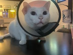 -Doors独立剧情密室(东门分店)